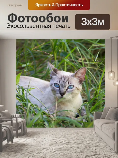 Фотообои Кошка
