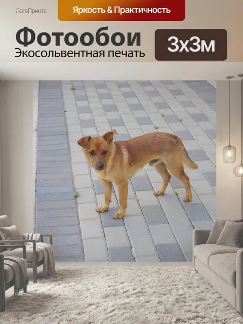 Фотообои Маленькая собачка коричневого