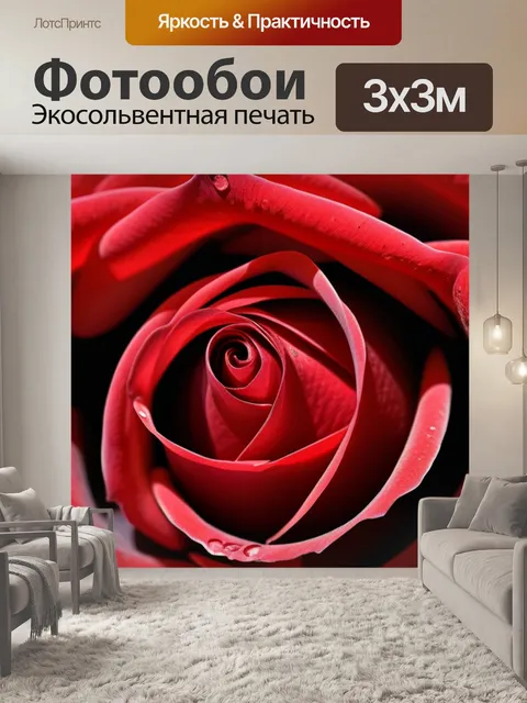 Фотообои с розой красной