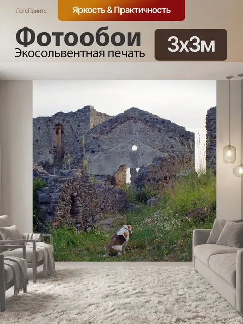 Фотообои Чирелла