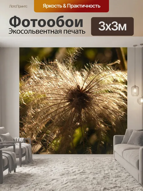 Фотообои Прострел