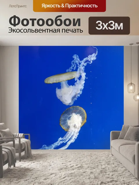 Фотообои Медуза