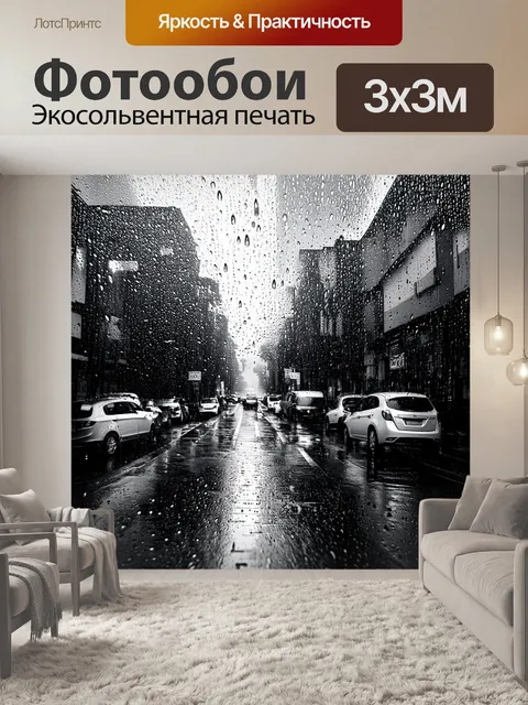 Фотообои дождь в черно-белом стиле