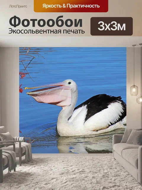 Фотообои Птица