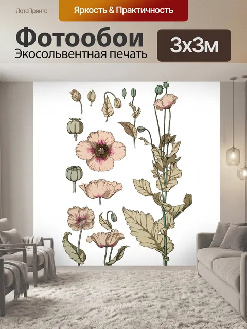 Фотообои Цветы мака художественная иллюстрация