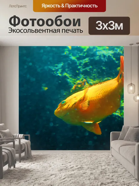 Фотообои Жирная золотая рыбка