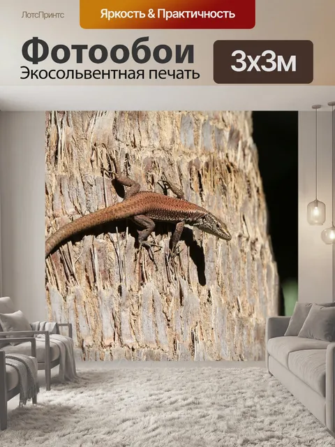 Фотообои Мадейра