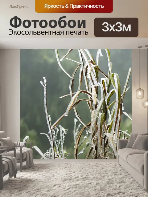 Фотообои Зеленое дерево