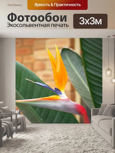 Фотообои Райская птица