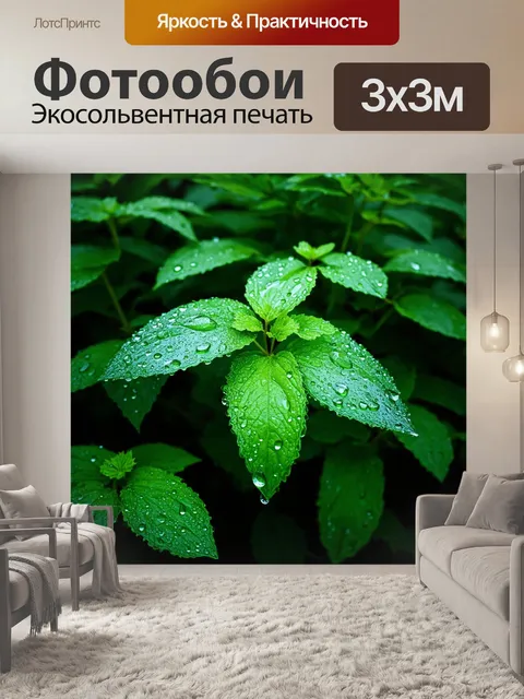 Фотообои мятный цвет создают атмосферу дождливого дня, где капли воды нежно падают на мятные листья