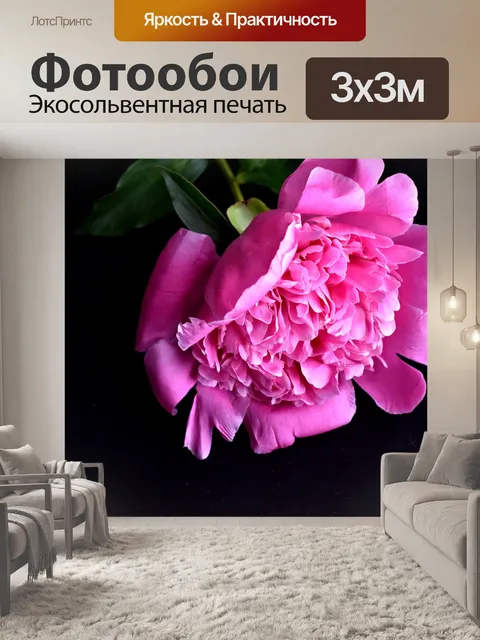 Фотообои Пион