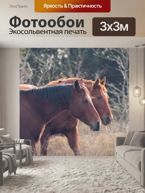 Фотообои Дикие лошади
