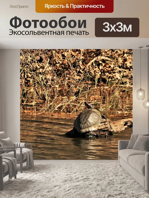 Фотообои Черепаха при входе в воду