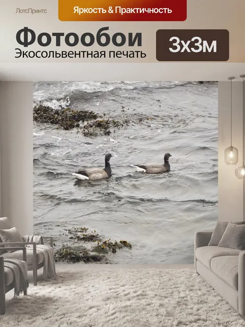 Фотообои Пара диких гусей
