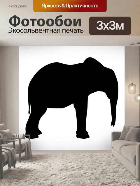 Фотообои Силуэт