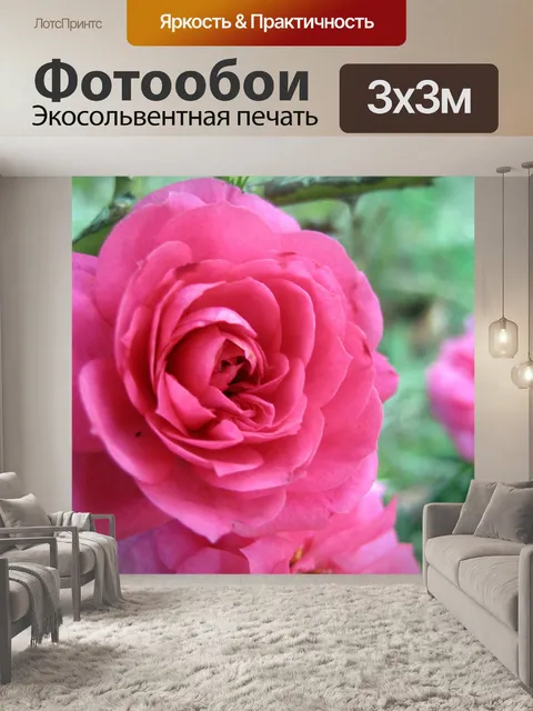 Фотообои розовый цветок