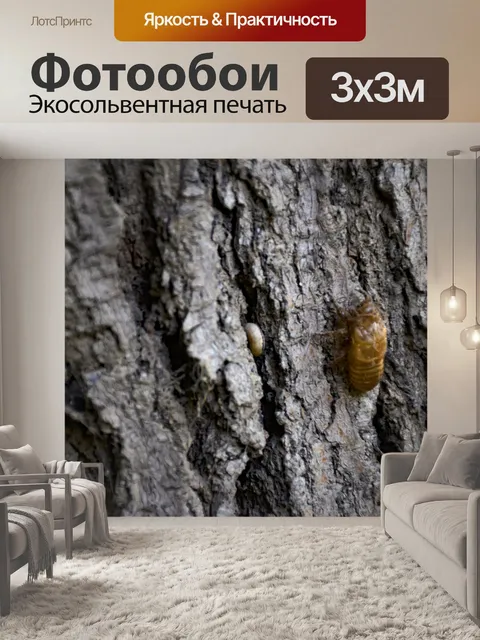 Фотообои Текстура