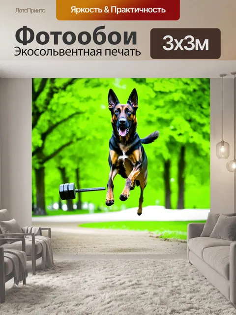 Фотообои фотография бельгийской овчарки малинуа, прыгающей за гантелей в парке, сделанная в стиле пейзажной фотографии