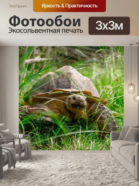 Фотообои черепаха в траве