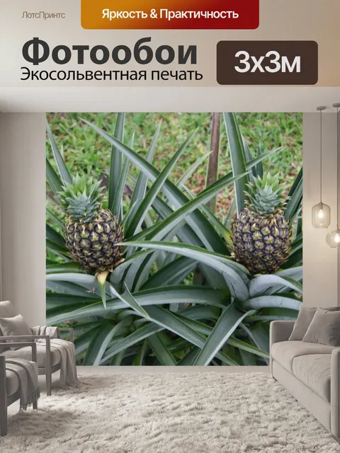 Фотообои Коста-Рика Ананасы