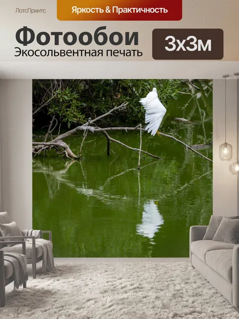 Фотообои Снежная белая цапля