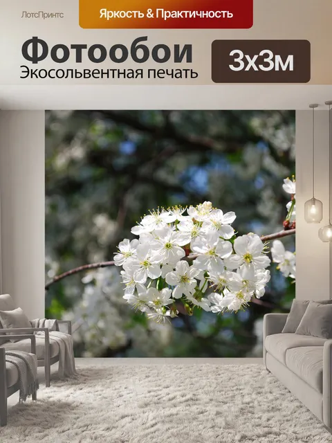 Фотообои Цветение вишни