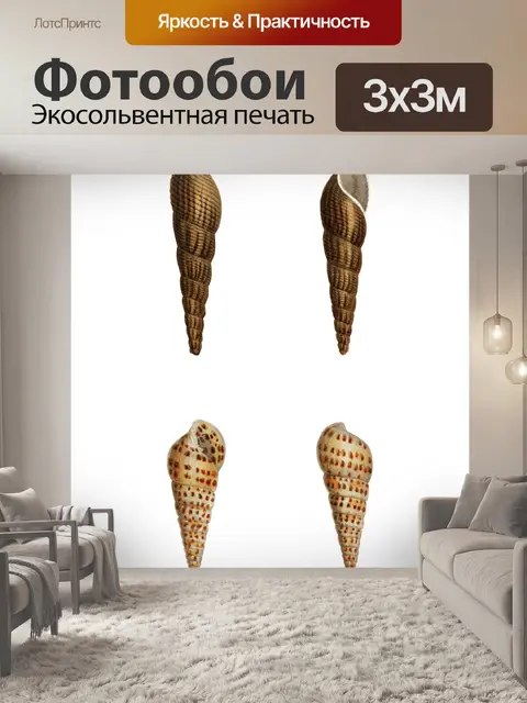Фотообои Морская ракушка клипарт винтажное искусс