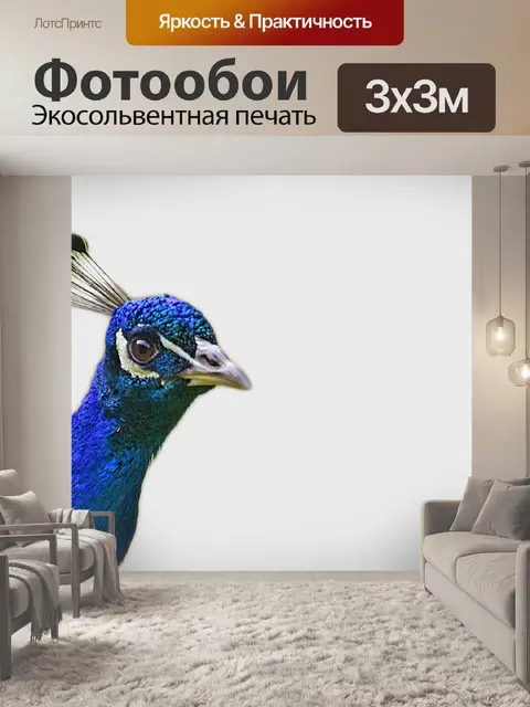 Фотообои Павлин