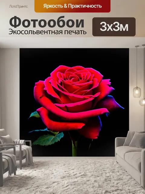 Фотообои розы в стиле кинематографический, тёмный фон с яркими розами, контрастное освещение, объемные тени