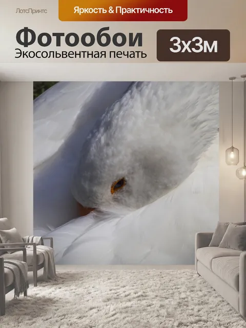 Фотообои Белый гусь
