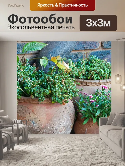 Фотообои Горшки с растениями