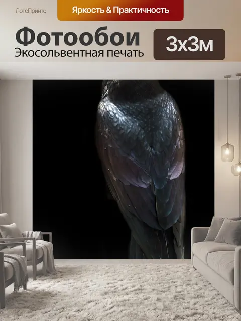 Фотообои Ворон