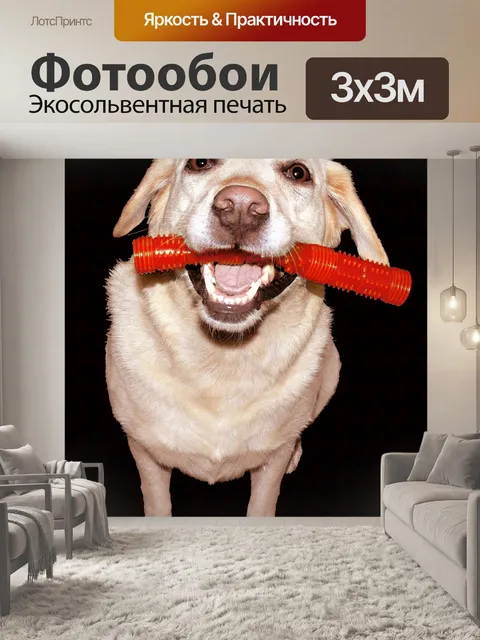 Фотообои Живопись Лабрадор с игрушкой