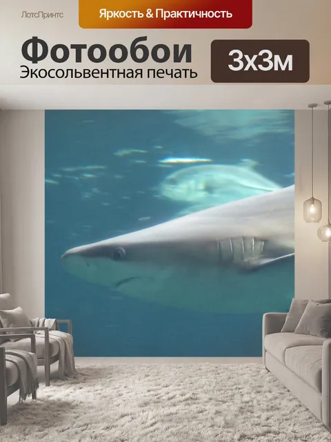 Фотообои Серый профиль акулы