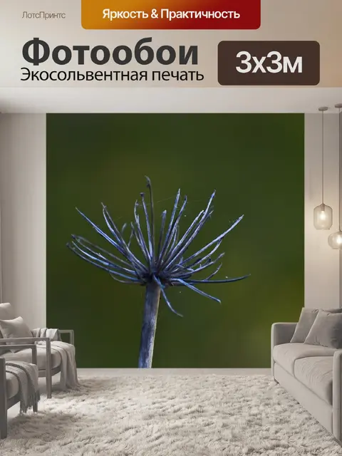 Фотообои Цветок сорняк