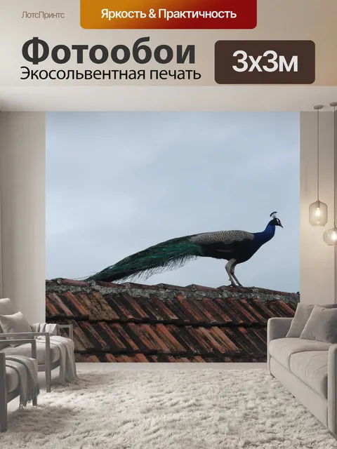 Фотообои Павлин