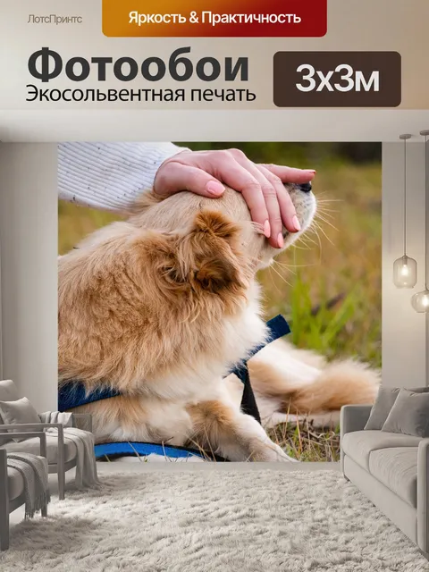 Фотообои Собака