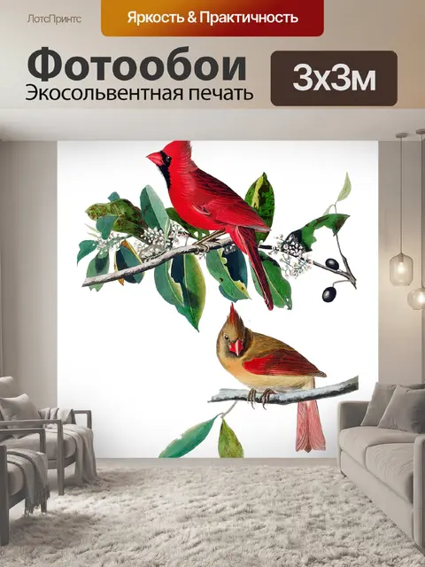 Фотообои Кардинал птица винтаж старый