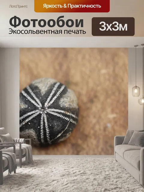 Фотообои Ископаемое