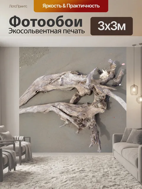 Фотообои Driftwood