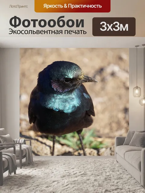 Фотообои Дикая природа
