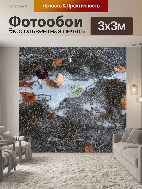 Фотообои Листья замерзшие зимой