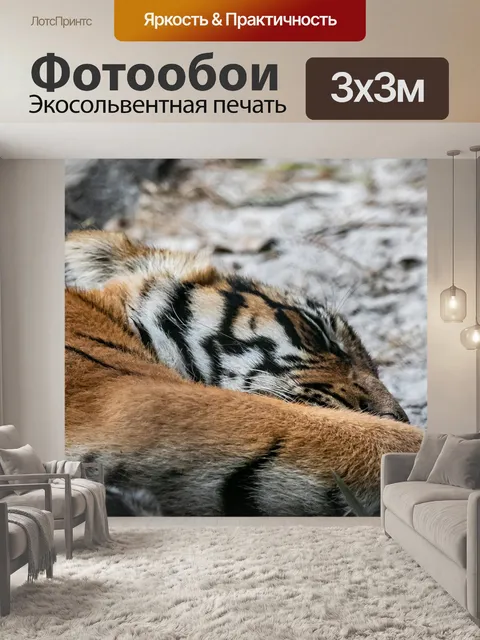 Фотообои Малайский тигренок