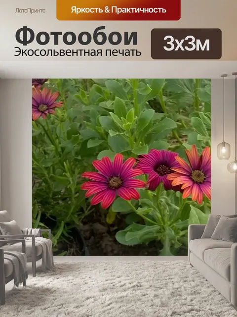 Фотообои Цветы