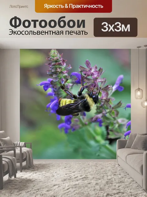 Фотообои Шмель на фиолетовом цветке