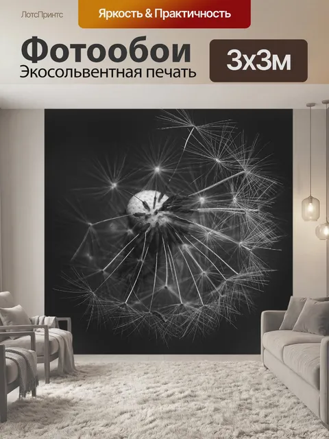 Фотообои Одуванчик