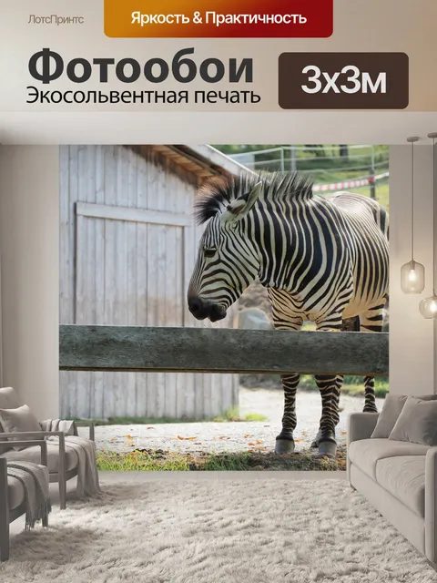 Фотообои Зебра
