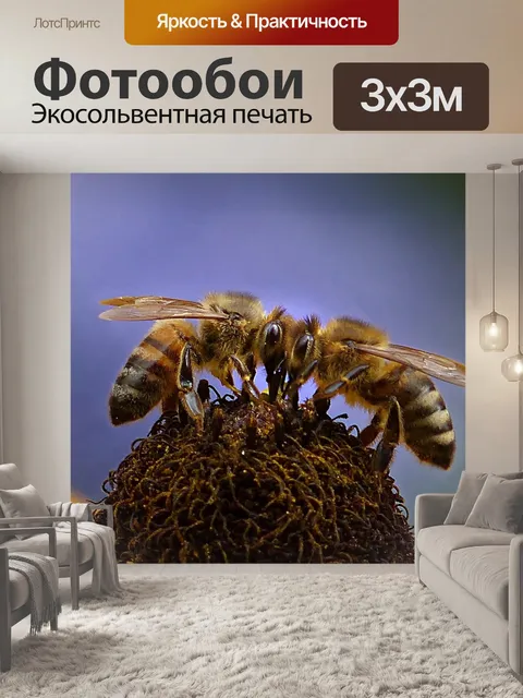Фотообои Животное