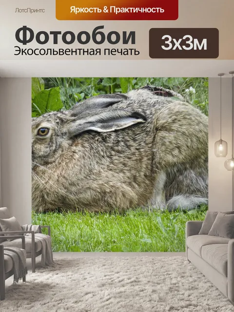 Фотообои Град