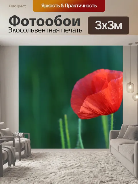 Фотообои Один красный мак